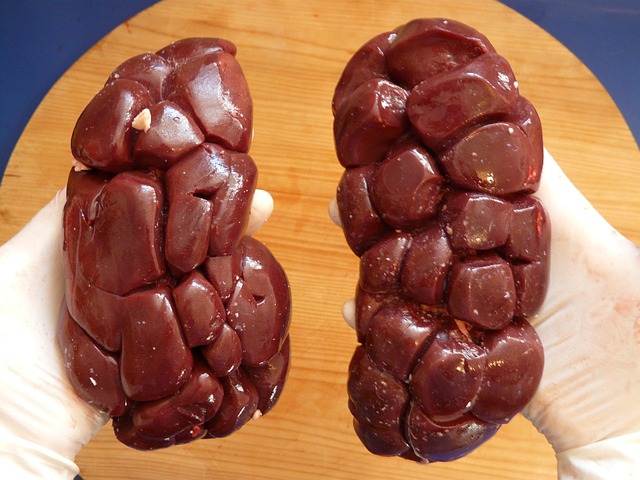 Bubrezi