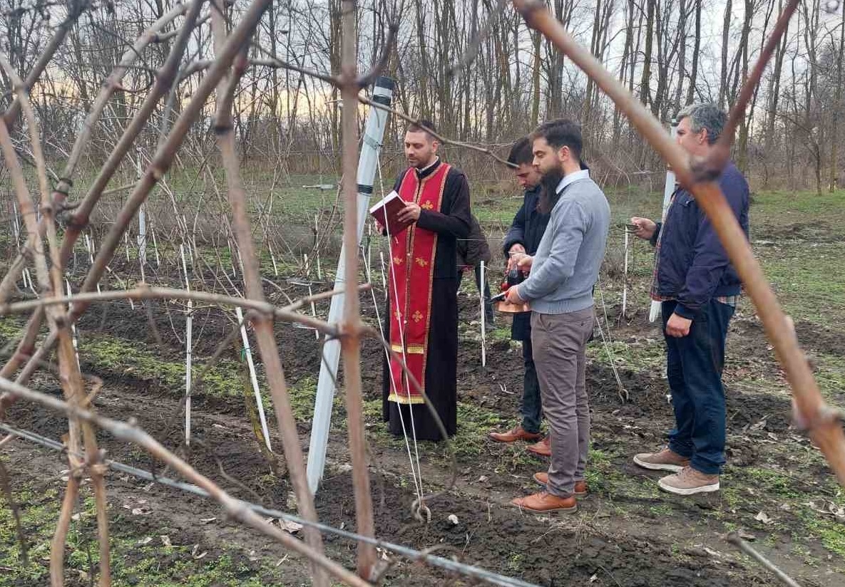 Vinari iz Riđice obeležili Svetog Trifuna i početak rezidbe
