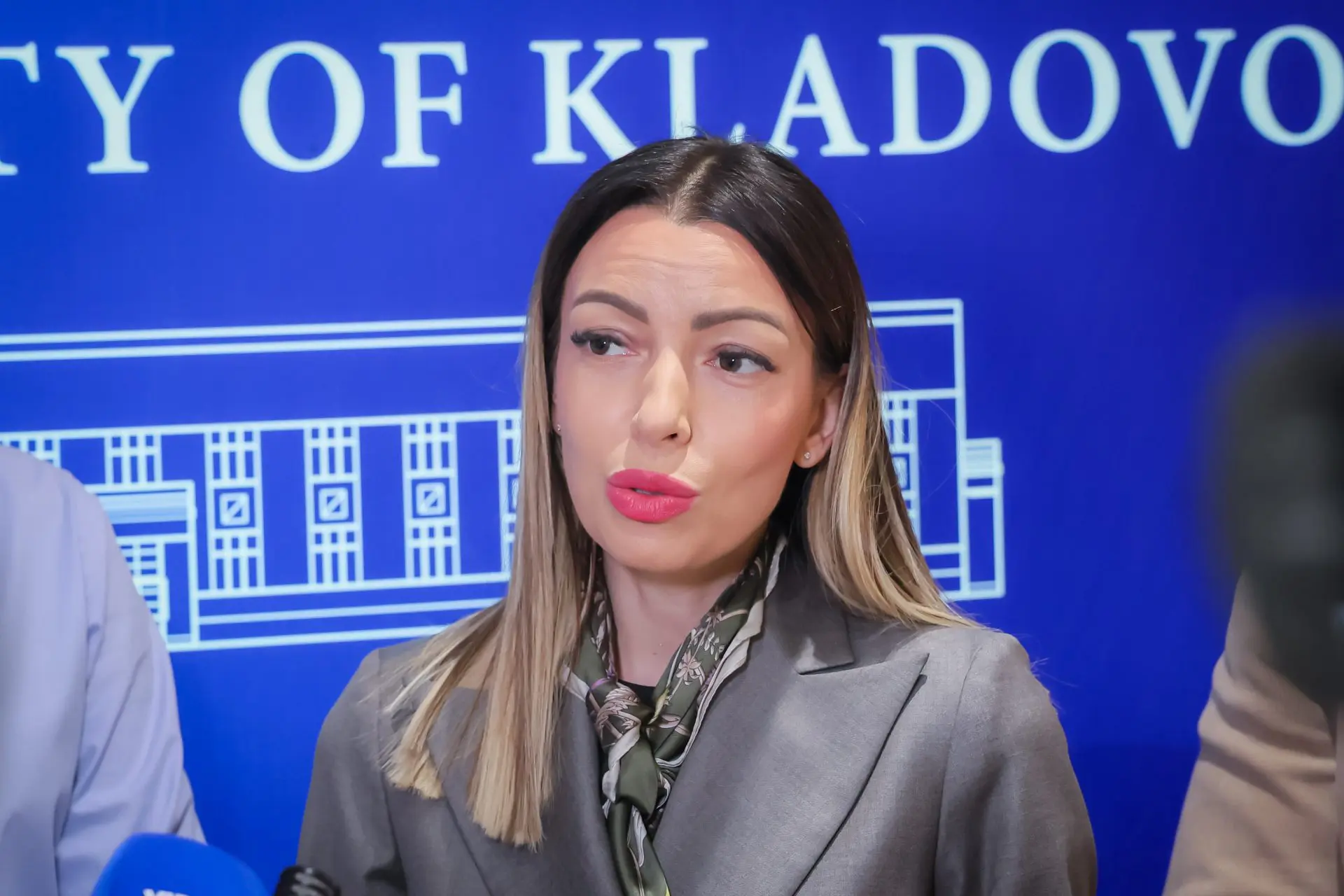 Mesarović u Kladovu- Vinarijama do 10 miliona bespovratno
